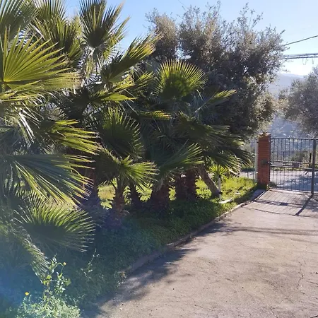 Casa Delle Palme Holiday home