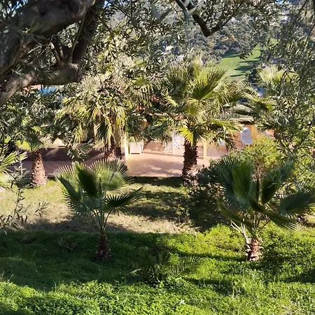 Casa Delle Palme